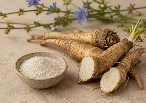 Chicory Root Prebiotic (Inulin)
