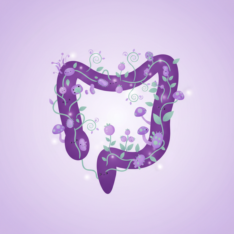 Gut Health & Digestion