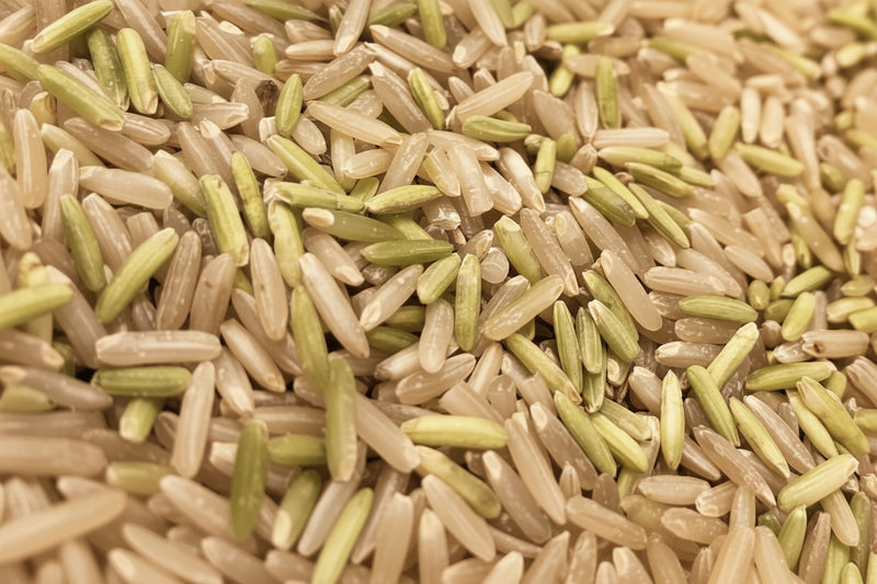 Young Greenish Brown Rice