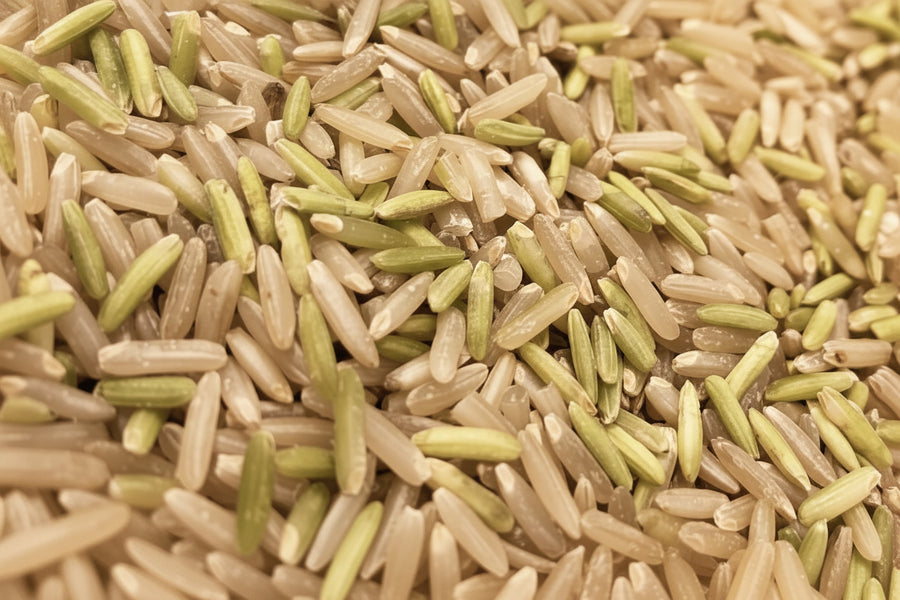 Naturally greenish brown rice, close up