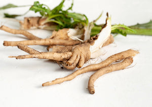 Prebiotic Inulin