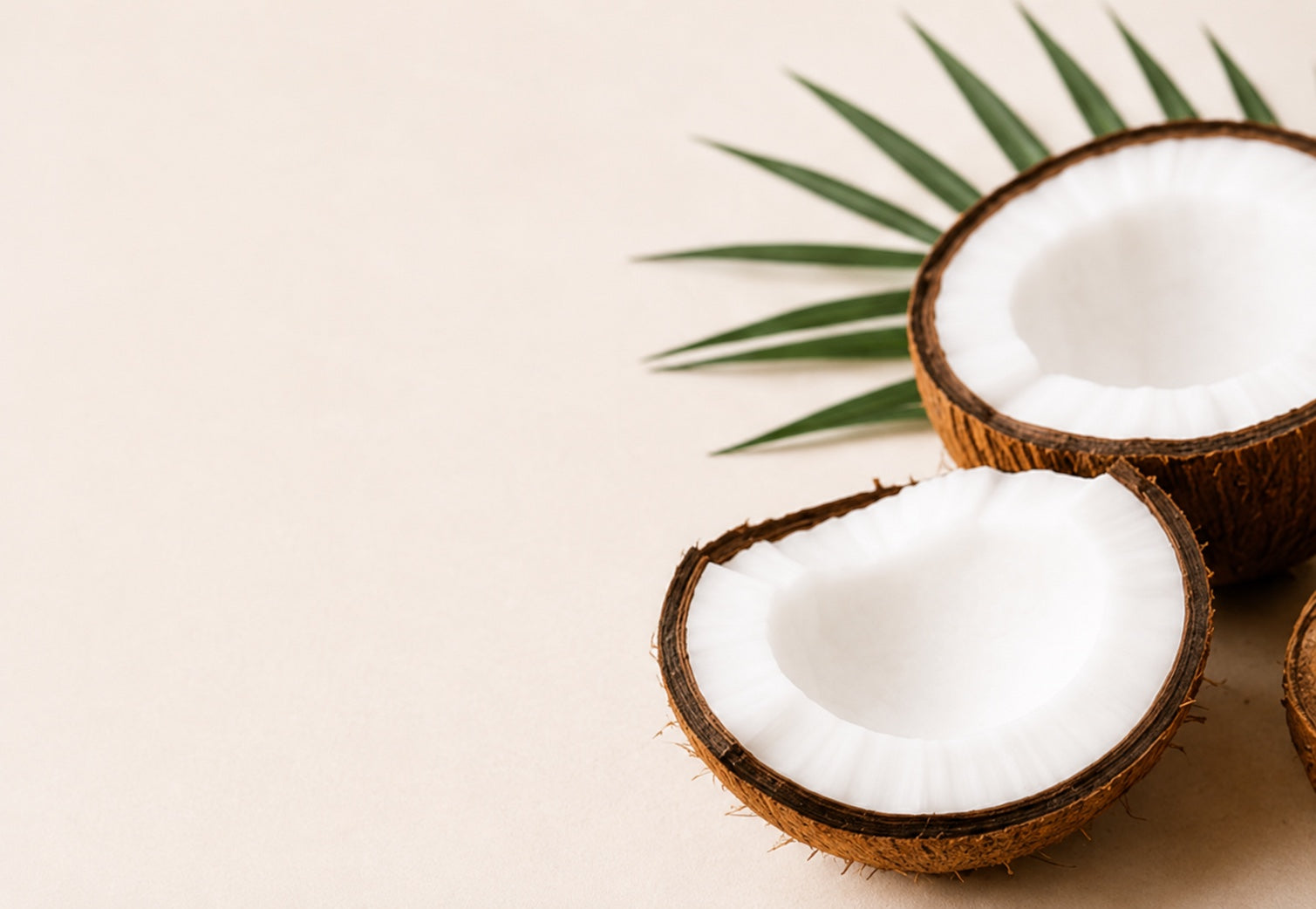Plant-Based & Lactose-Free