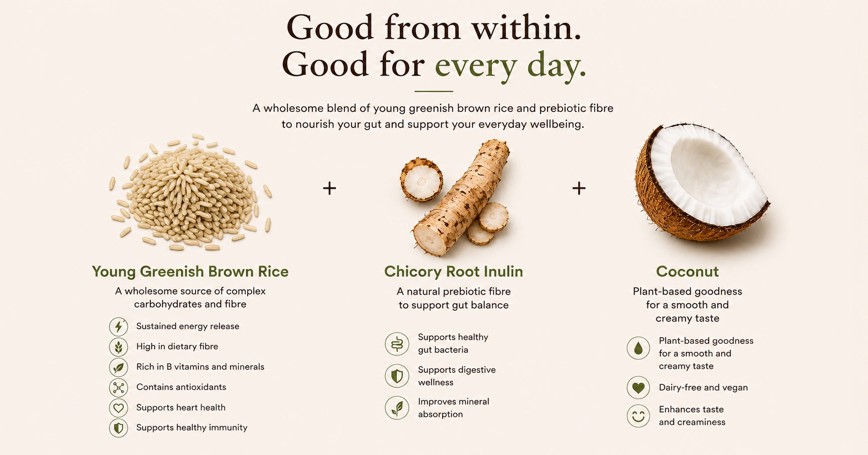 Brown rice, chicory root, and coconut ingredients