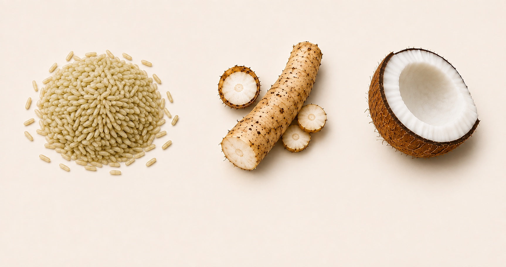 Brown rice, chicory root, and coconut, the three main ingredients